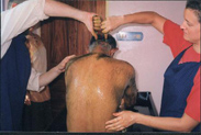 Dhara: Ayurvedic Treatment